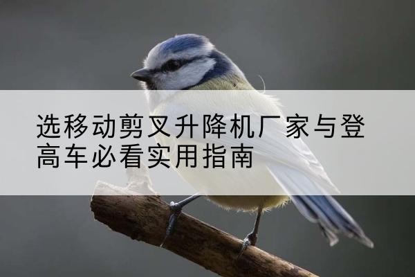 西盟电动升降机厂家-选移动剪叉升降机厂家与登高车必看实用指南