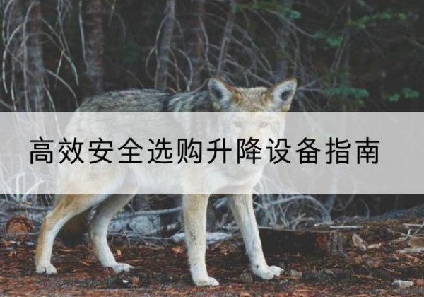 西盟升降货梯厂家推荐-*安全选购升降设备指南